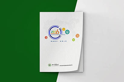 自流井区画册设计：以场景为媒，打造城市体验的全新入口